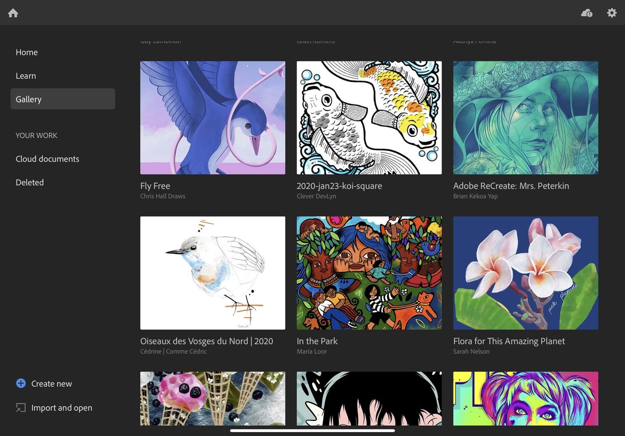 Adobe Fresco Gallery