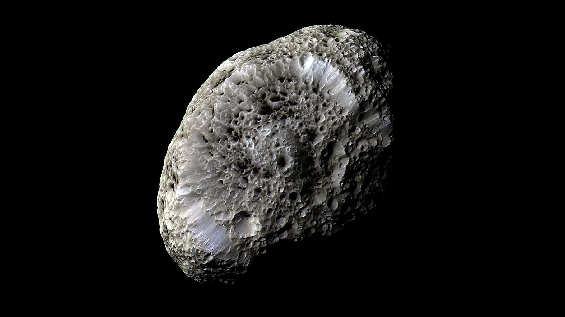 Gray spongey textured moon in the shape of a potato.