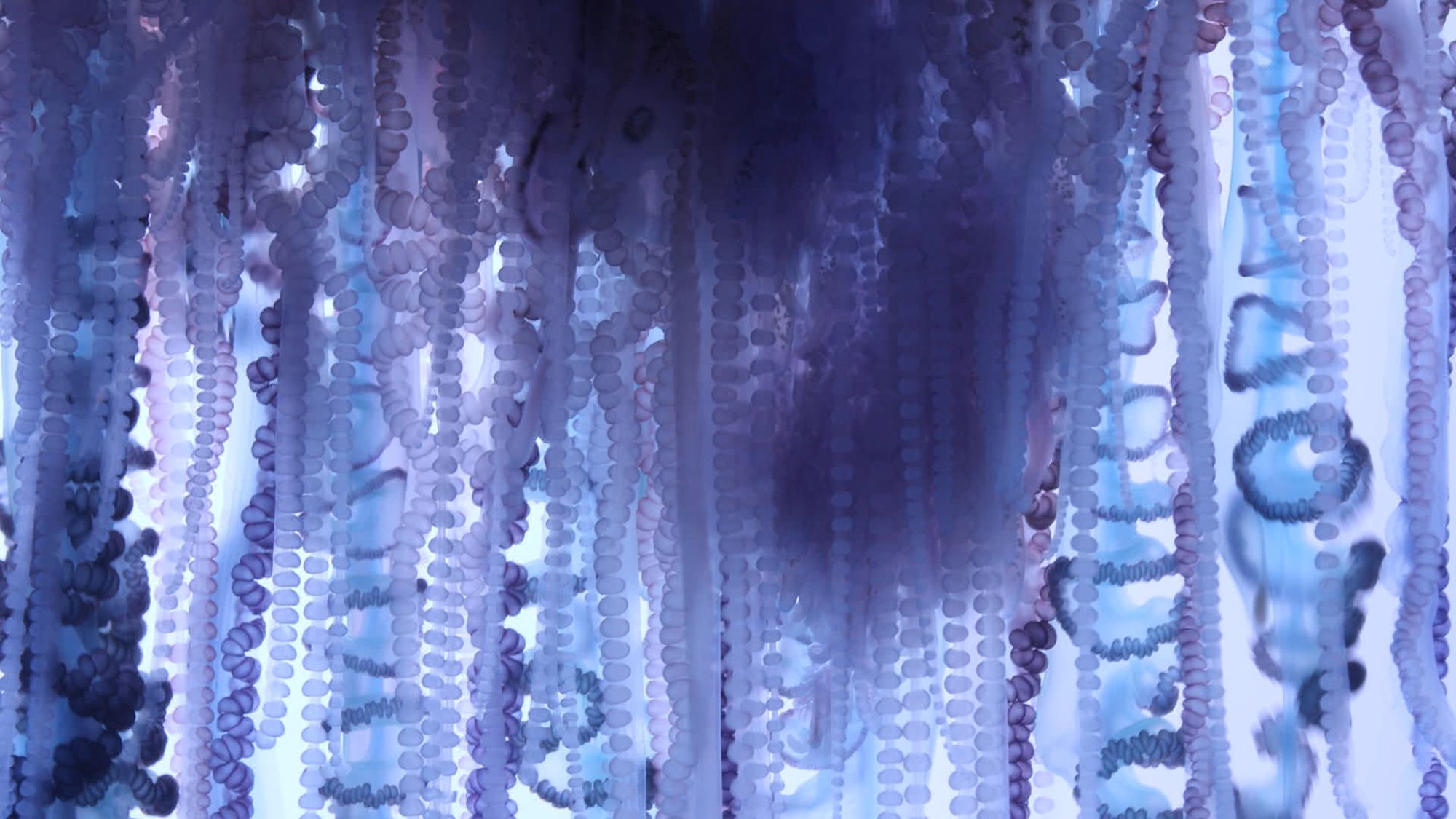 Here's What Life Might Look Like on Another 'Strange Rock' | Space