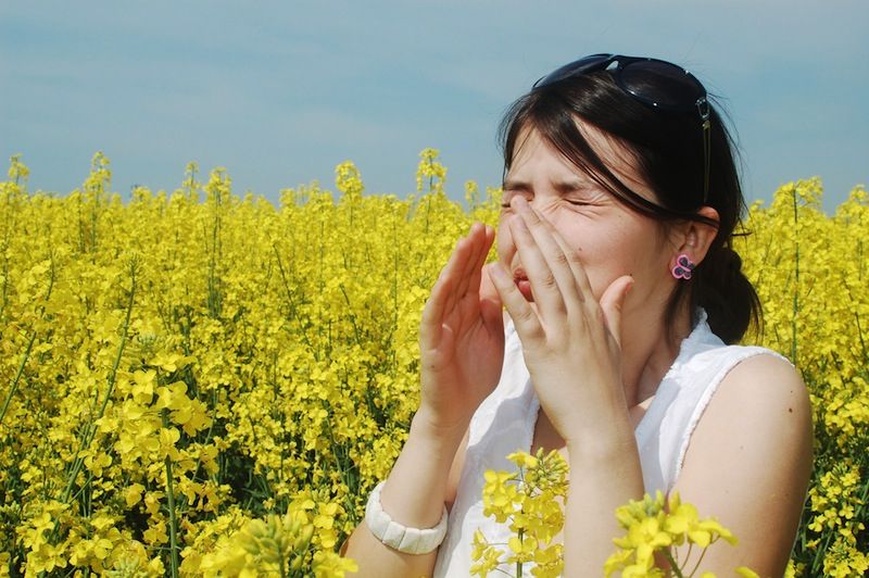 9 Myths About Seasonal Allergies Live Science