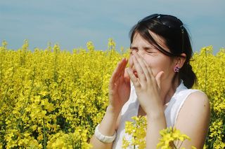 A woman sneezes amid a field of flowers.