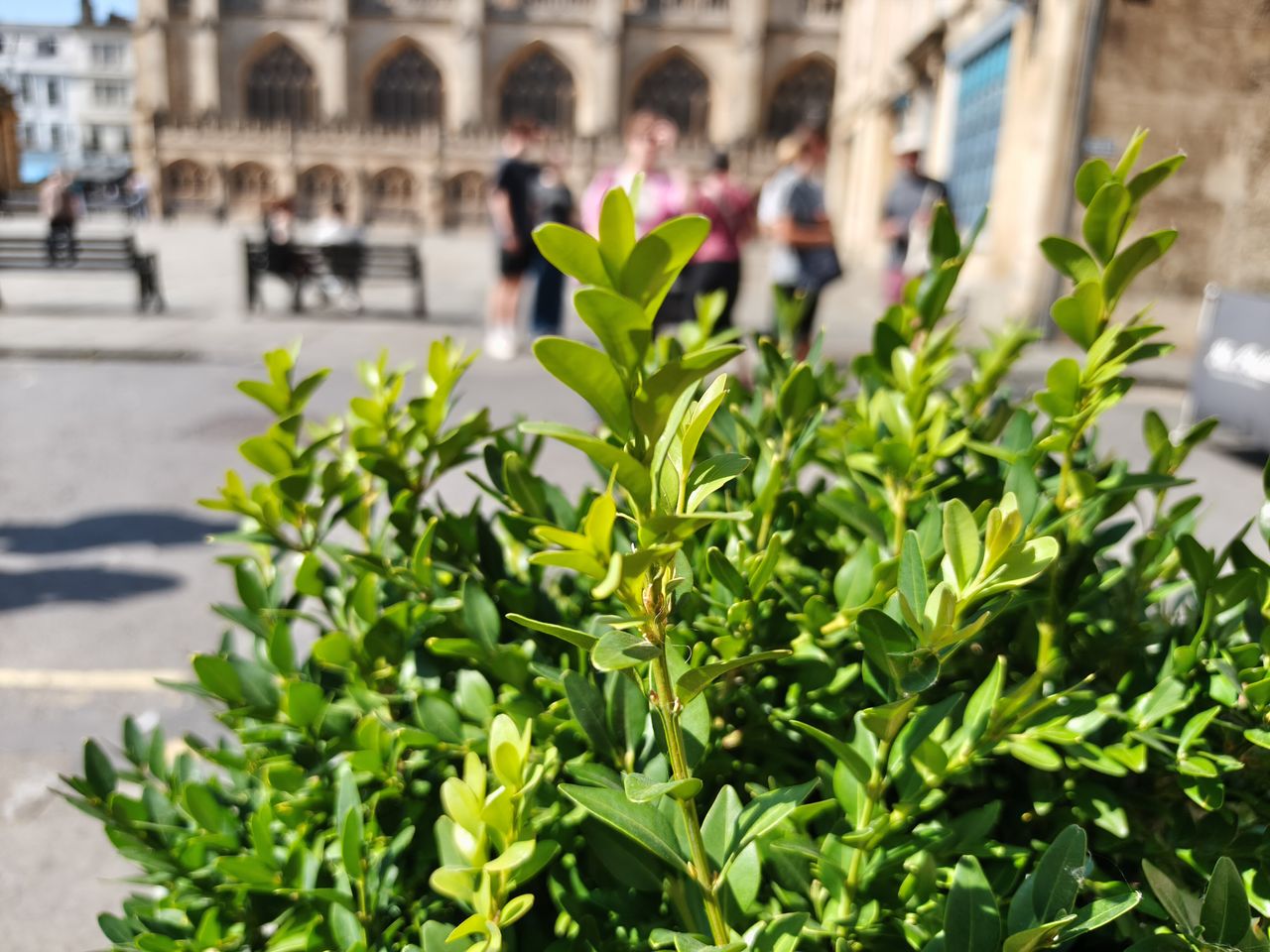 TCL NXTPAPER 70 Pro camera examples