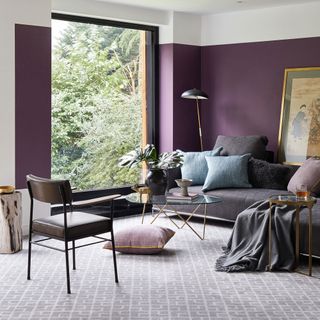 living room with purple wall and grey carpet