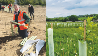 Vhari Russell and volunteers planting trees, and a shot of some of the hundreds of saplings planted in a field, with their protectors