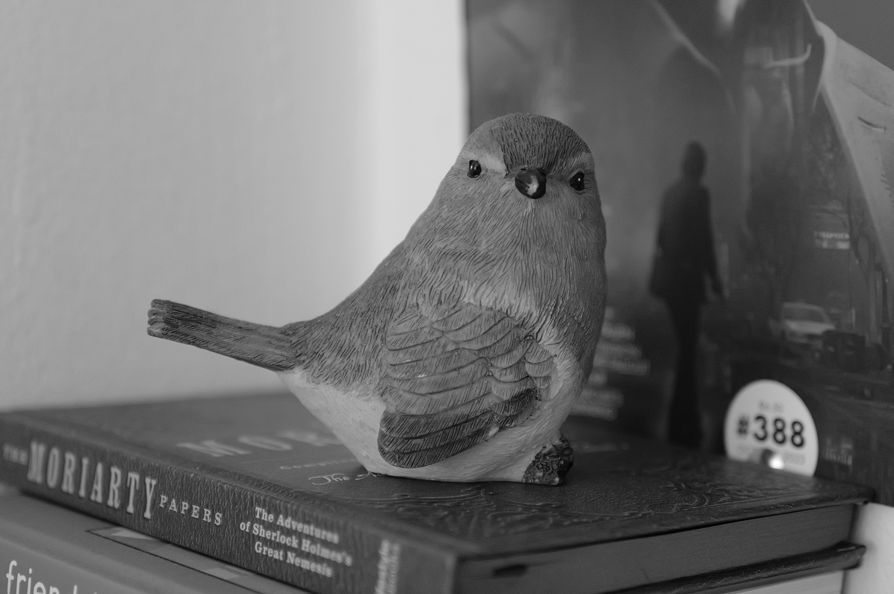 A photo taken on a Leica Q3 Monochrom black-and-white camera