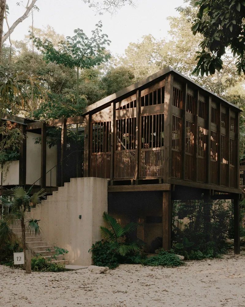 A modernist wooden house up in the trees.