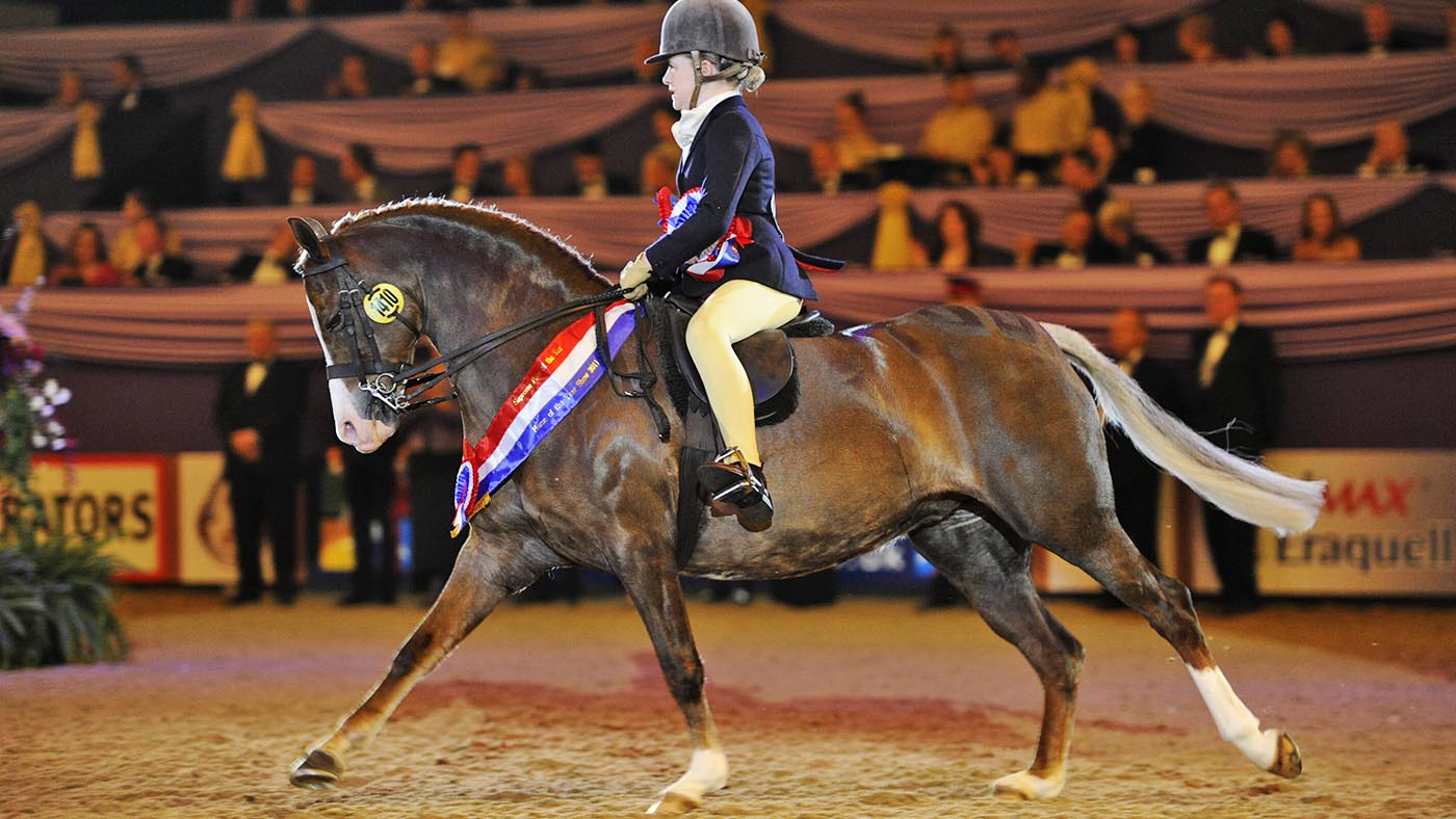 HorseNo1410_HOYS11pn3521.jpg