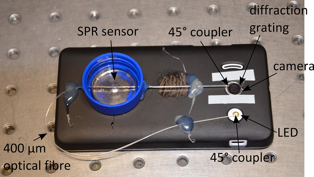 Fiber-optic sensor could enable smartphone pregnancy tests