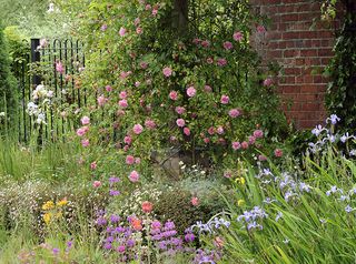 Rhodds Farm - Val Corbett / Country Life