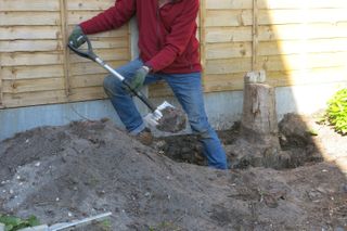 digging out a tree stump