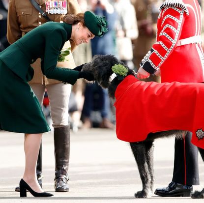 Kate Middleton petting a dog 