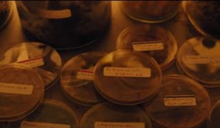 Petri dishes in Ghostbusters: Afterlife