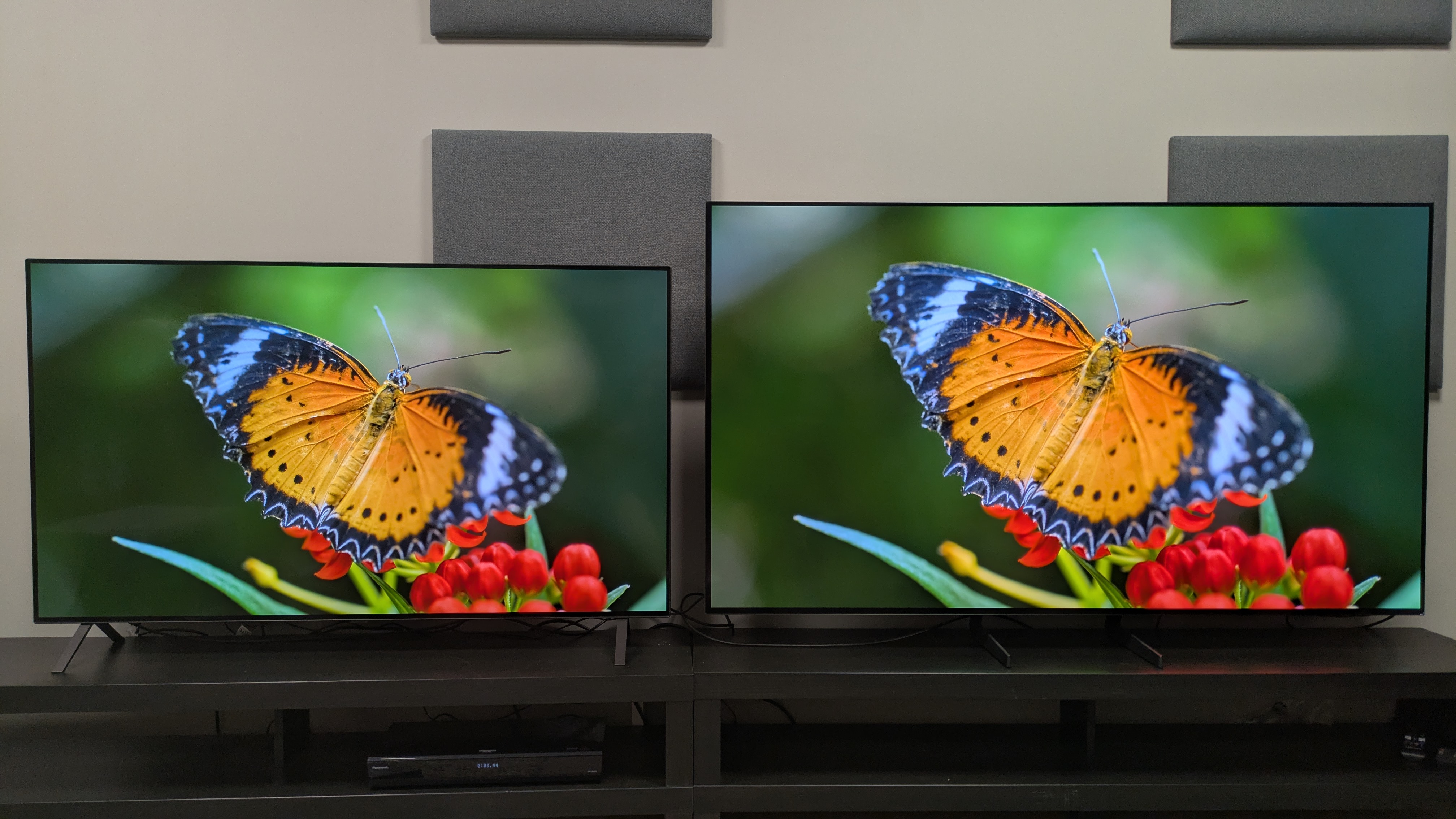LG B5 (left) and Samsung S85F (right) showing orange butterfly on screen
