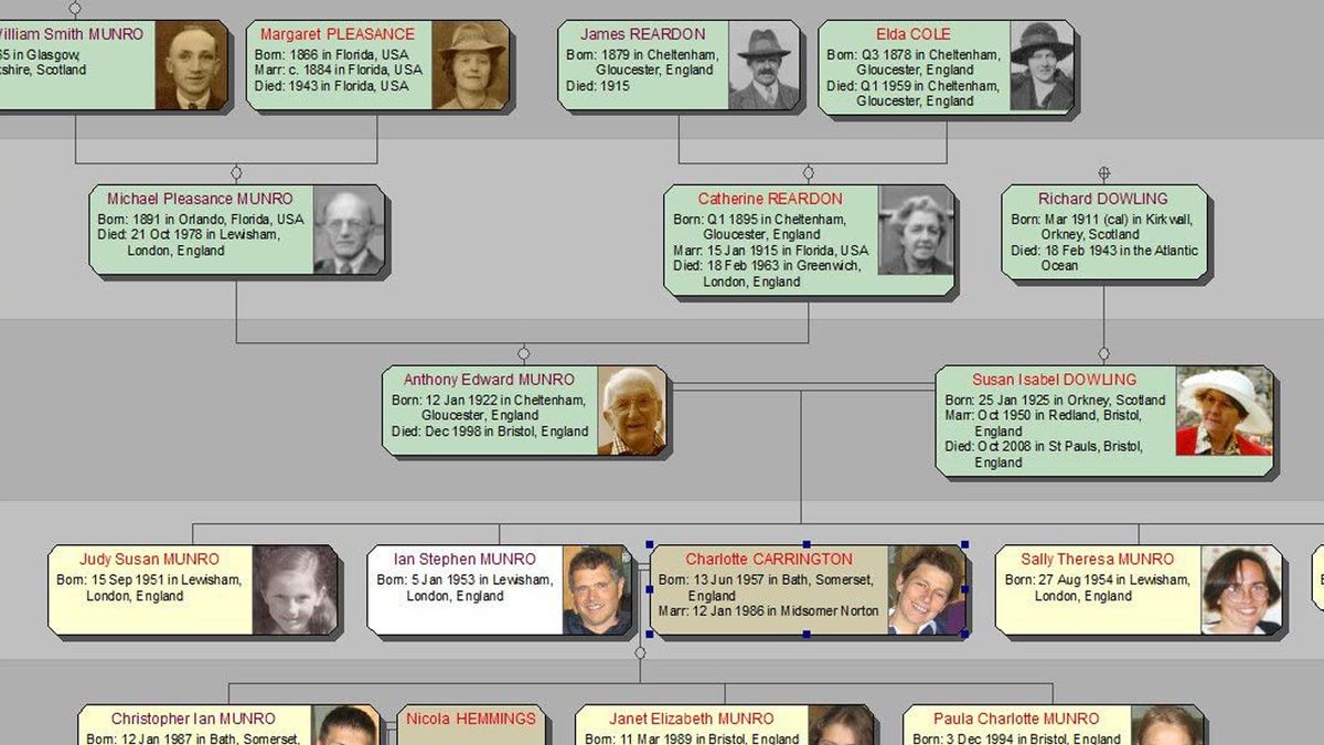 the best free family tree software