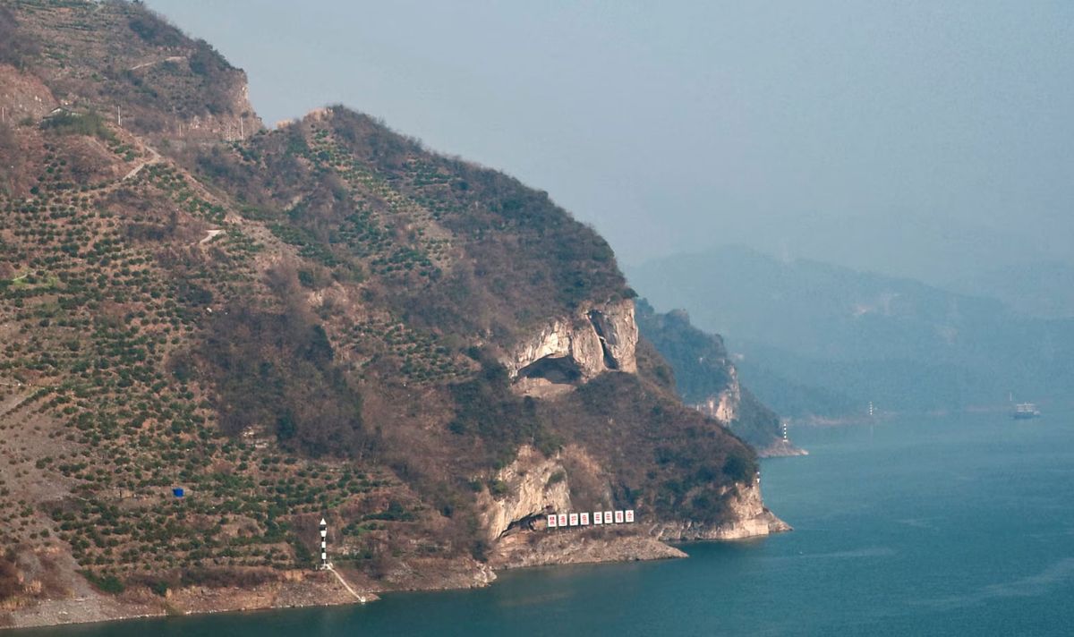 Guo Qingshan’s image of what he has nicknamed &#039;Puppy Mountain&#039;