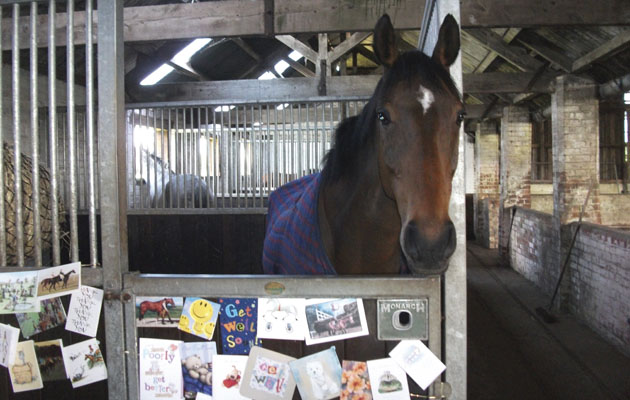 get well cards