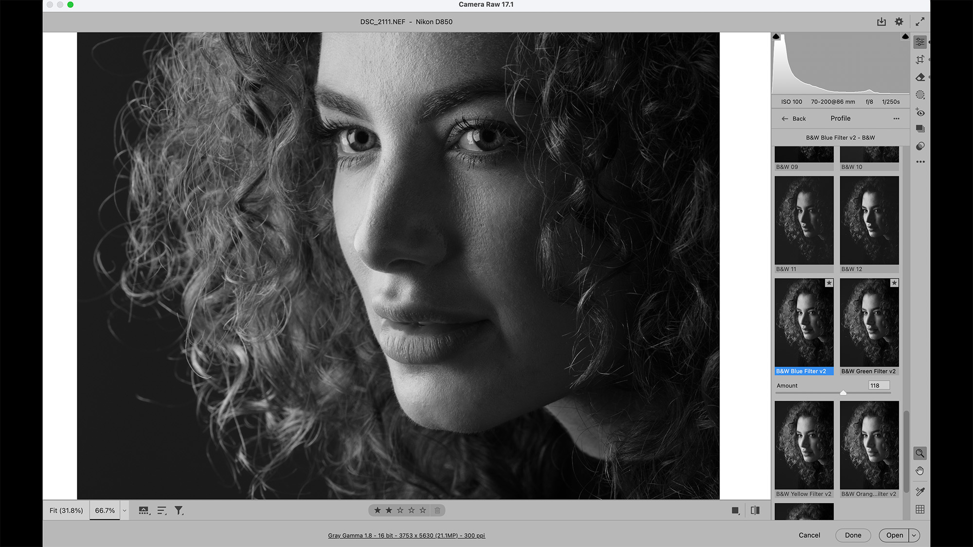 Camera Raw screenshot of Monochrome close-up portrait of model by James Paterson on a black background
