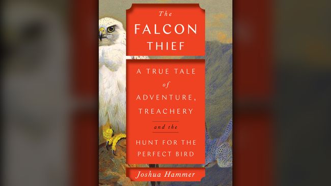 detective novel the falcon