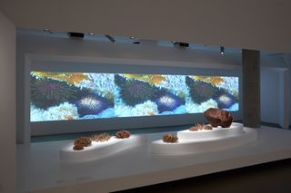 Pirjo Haikola Urchin Corals at NGV Triennial Melbourne