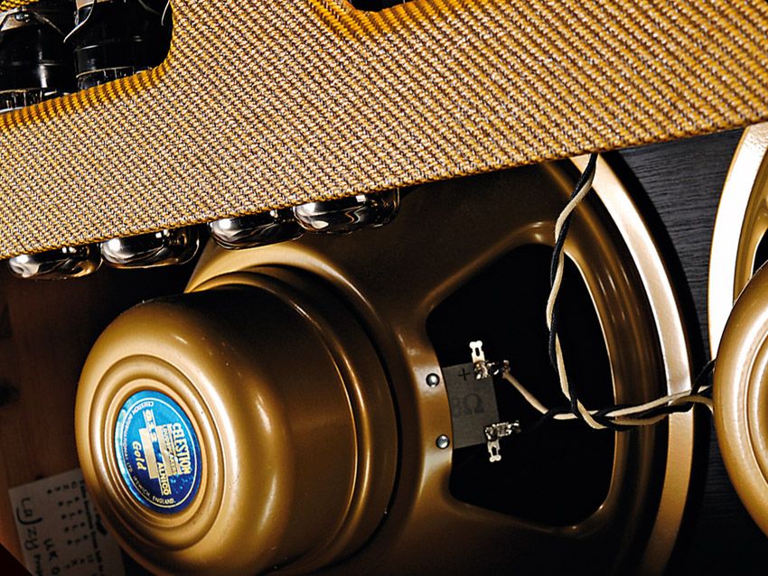 The clestion Alnico Gold speakers are premium options at a premium price.