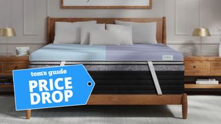 Helix Dual Comfort Mattress Topper with a price drop deals badge