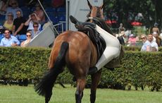 Lincs. County Show 21/22.06.17 Open W/Hunter class No.185 Miss H Harling Managed to get back into the saddle and complete thrills and spills fall falling
