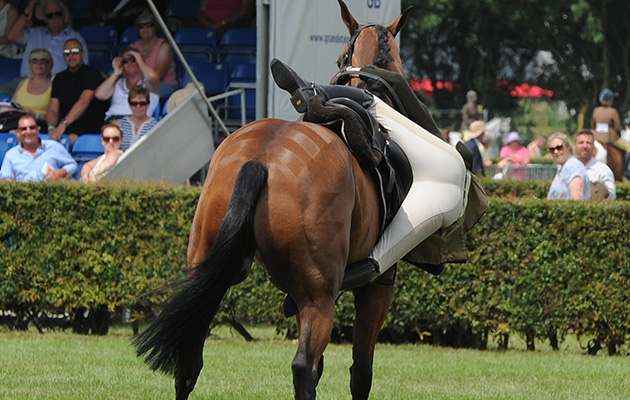 Lincs. County Show 21/22.06.17 Open W/Hunter class No.185 Miss H Harling Managed to get back into the saddle and complete thrills and spills fall falling