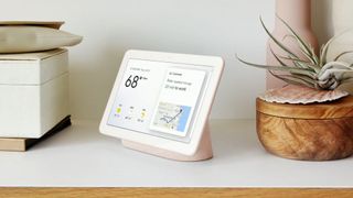 The ability to try products on with AR could increase the purchases made through smart displays like the Google Home Hub (pictured). (Image credit: Google)