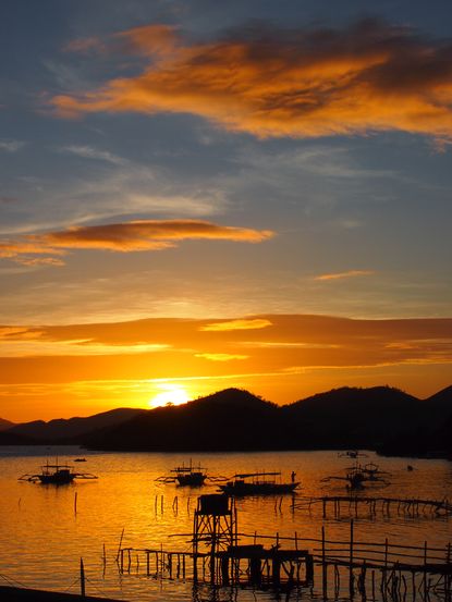 Palawan province, endangered, protected