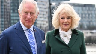 King Charles and Camilla new role warning