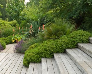 An example of small garden decking ideas with steps alongside green bushes and orange and purple flowers.