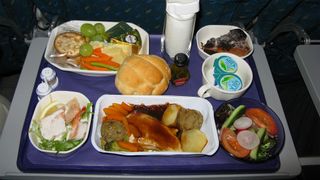 plane food