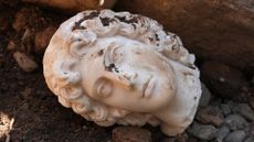 A white marble bust of Alexander the Great, severed at the neck, atop dirt and rubble.