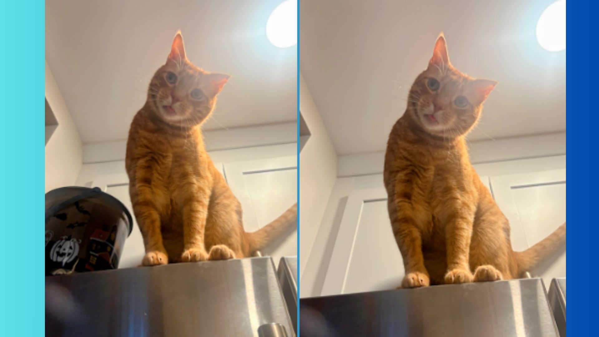 Google Photos Help Me Edit