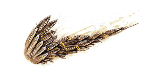 Nike wild logos