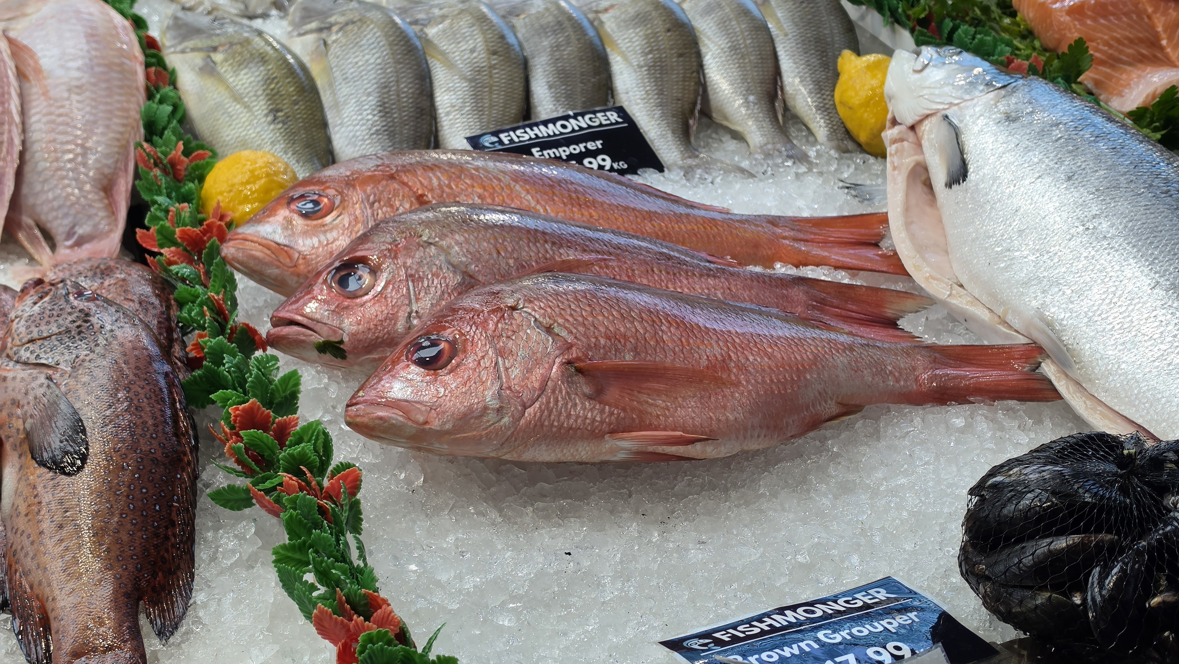 Samsung Galaxy S26 Ultra review