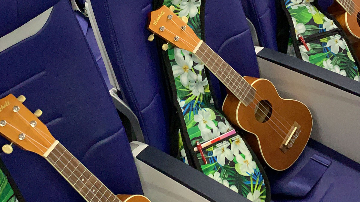 southwest airlines travel with guitar