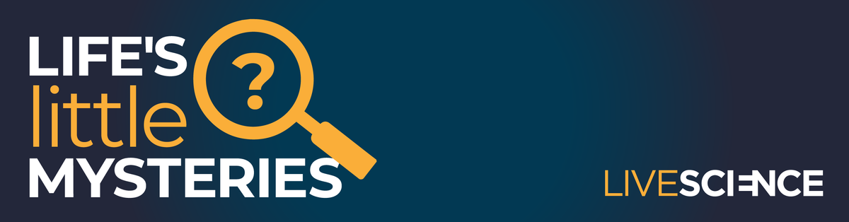 Life&#039;s Little Mysteries logo with a question mark in a magnifying glass