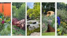 Collages of the best RHS Chelsea flower show 2026 gardens and takeaway trends