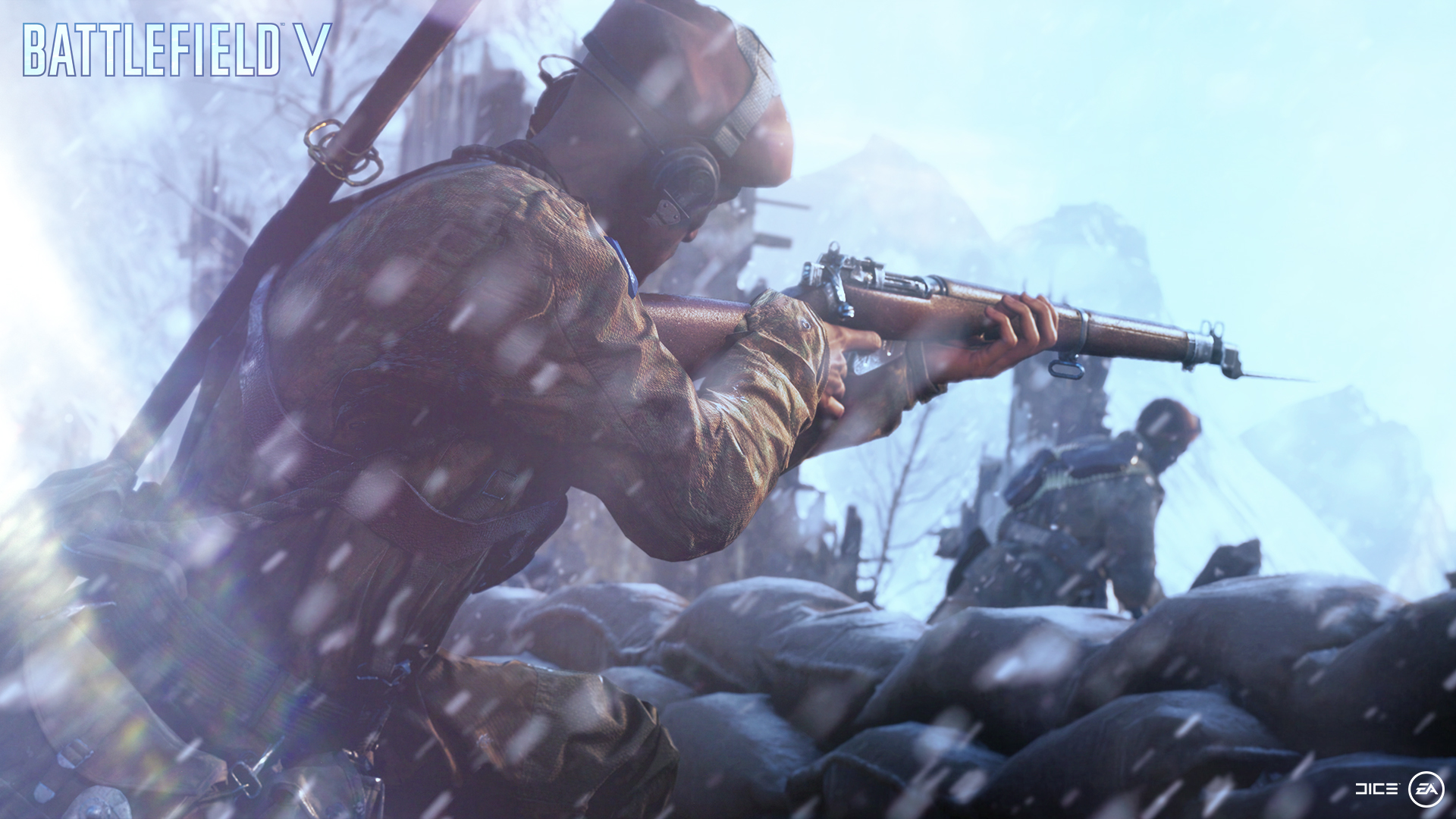 Battlefield 5 release date: when you can play BF5