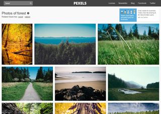 Pexel's user-friendly search is a boon