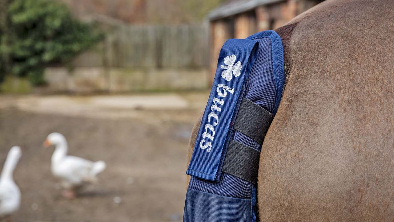 Bucas tail protector and bag review