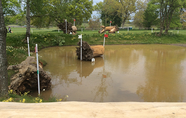 Badminton Fences 2017
