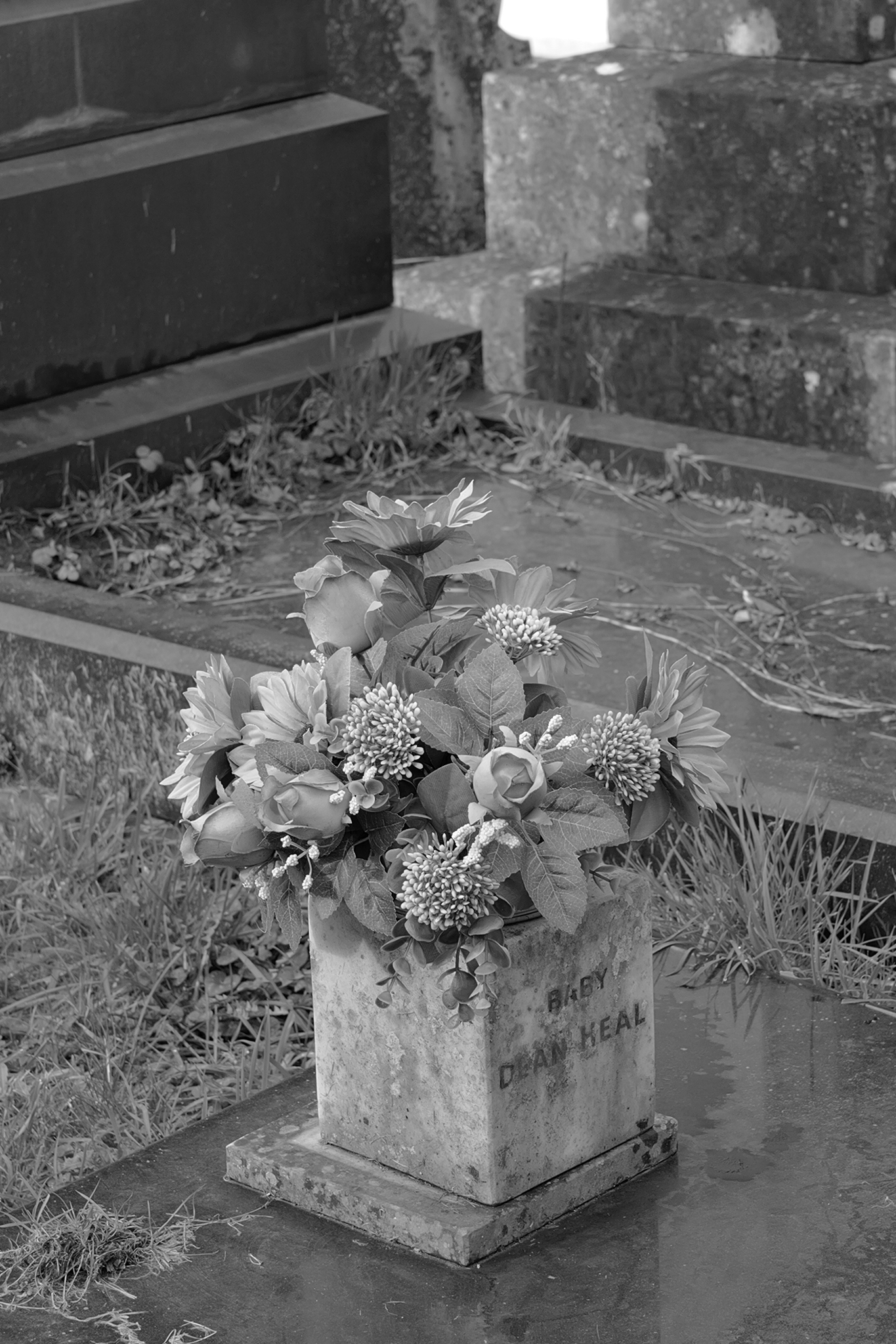 Leica Q3 Monochrom vs Leica Leitzphone comparison