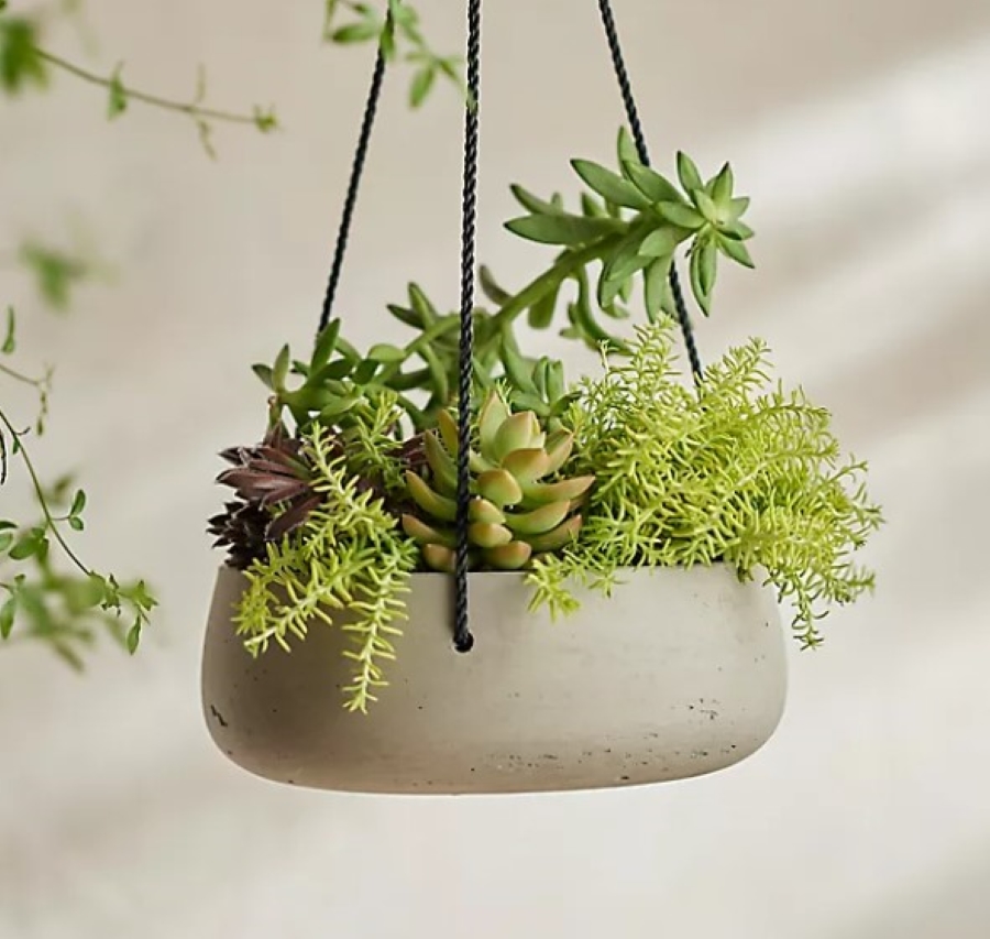 Anthropologie hanging basket