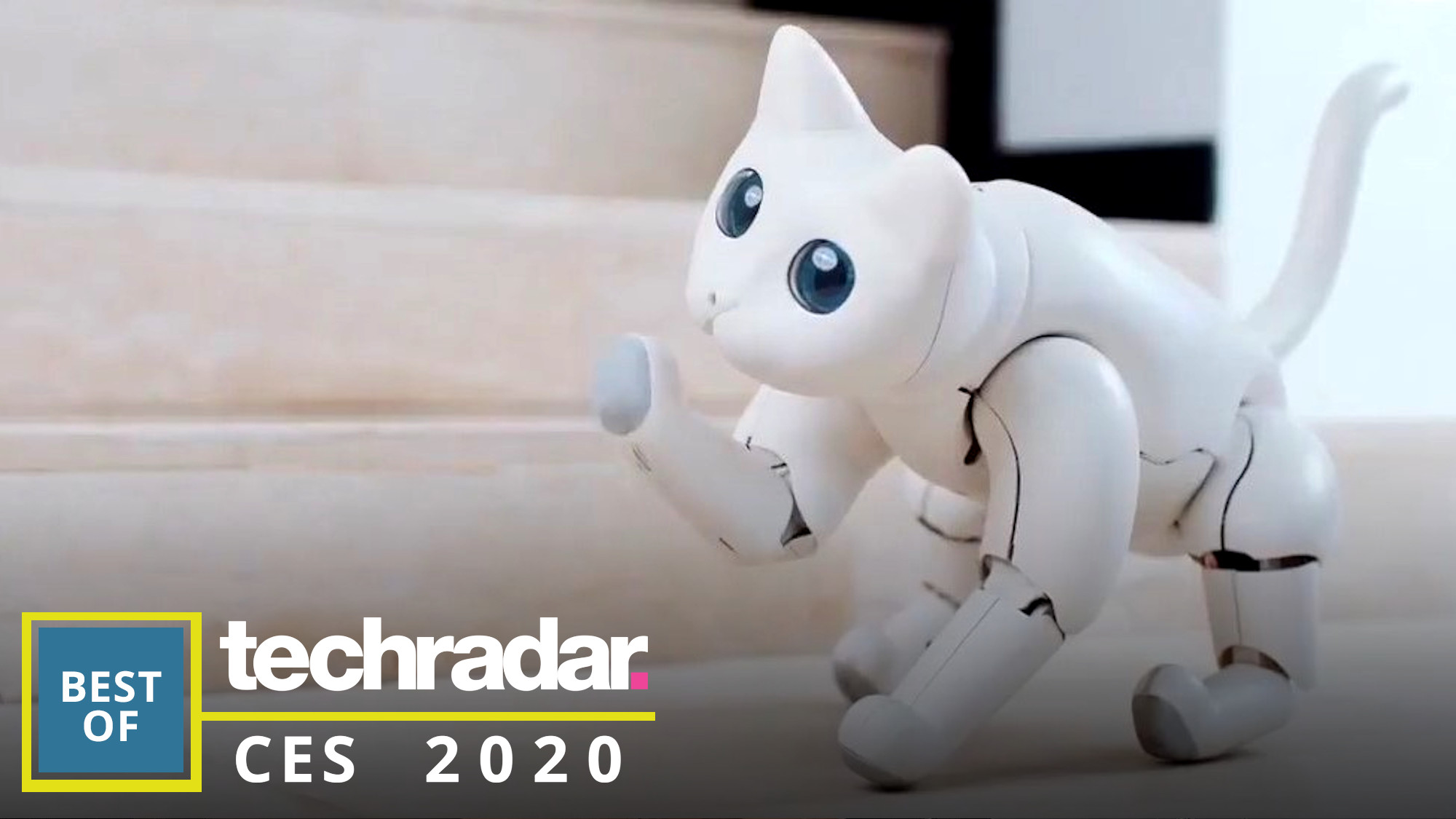 The best robots from CES 2020: the cute, the cuddly and the confusing |
