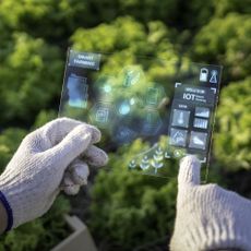 A gardener using a transparent screen tool to control plant care