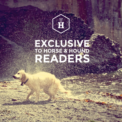 Houndworthy H&amp;amp;H offer
