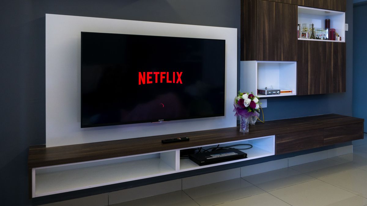 Netflix logo on TV screen in contemporary living room