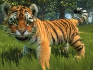 Kinectimals: tiger hides in the glade